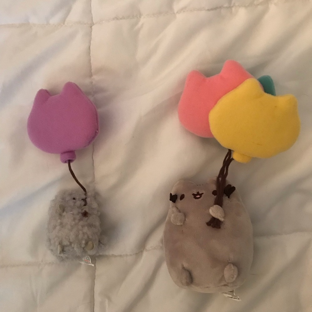 Pusheen and stormy balloon set